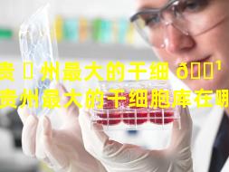 贵 ☘ 州最大的干细 🌹 胞库（贵州最大的干细胞库在哪里）